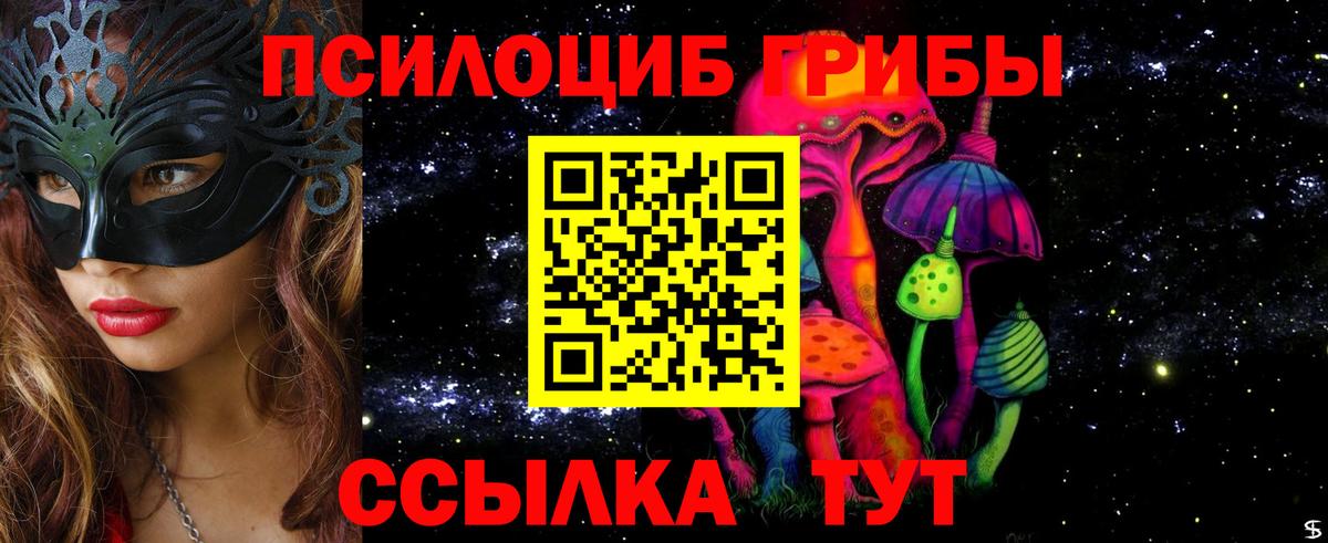 Псилоцибиновые грибы прущие грибы Белово